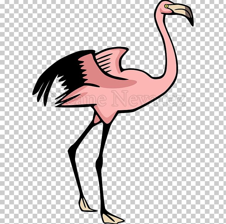 Flamingo Drawing PNG, Clipart, Animals, Beak, Bird, Black And White, Can Stock Photo Free PNG Download