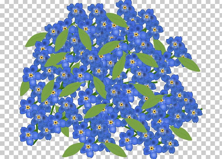 Flower PNG, Clipart, Blue, Blumen, Flower, Nature, Plant Free PNG Download