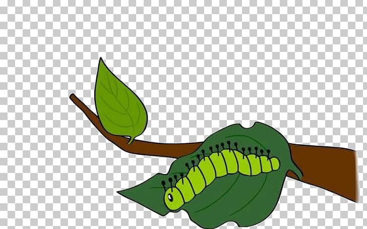 The Very Hungry Caterpillar Insect Butterfly Animal PNG, Clipart, Animal, Animals, Background Green, Beak, Bird Free PNG Download