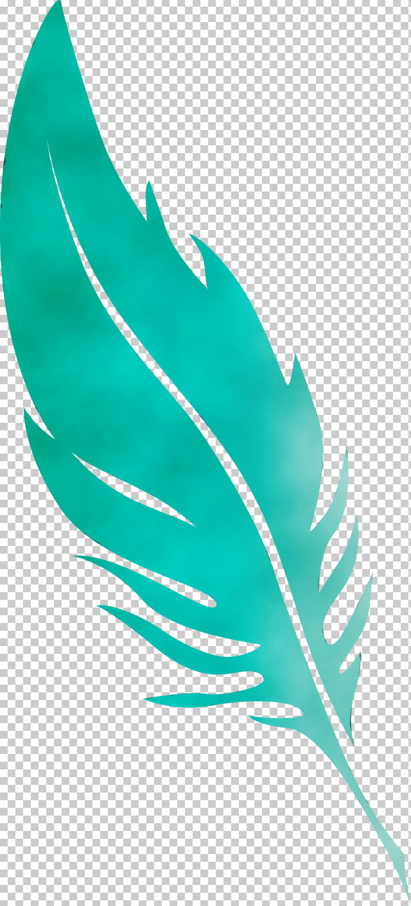 Leaf Green Quill Line Plant Structure PNG, Clipart, Biology, Feather, Green, Leaf, Line Free PNG Download