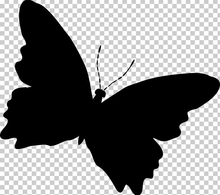 Butterfly Silhouette PNG, Clipart, Arthropod, Black, Black And White, Brush Footed Butterfly, Butterfly Free PNG Download
