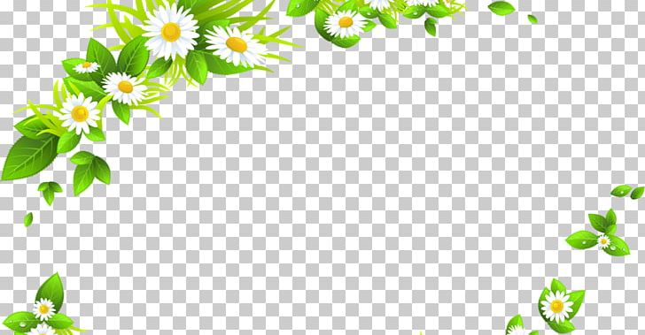 Chamomile Common Daisy PNG, Clipart, Area, Branch, Chamomile, Common Daisy, Flora Free PNG Download