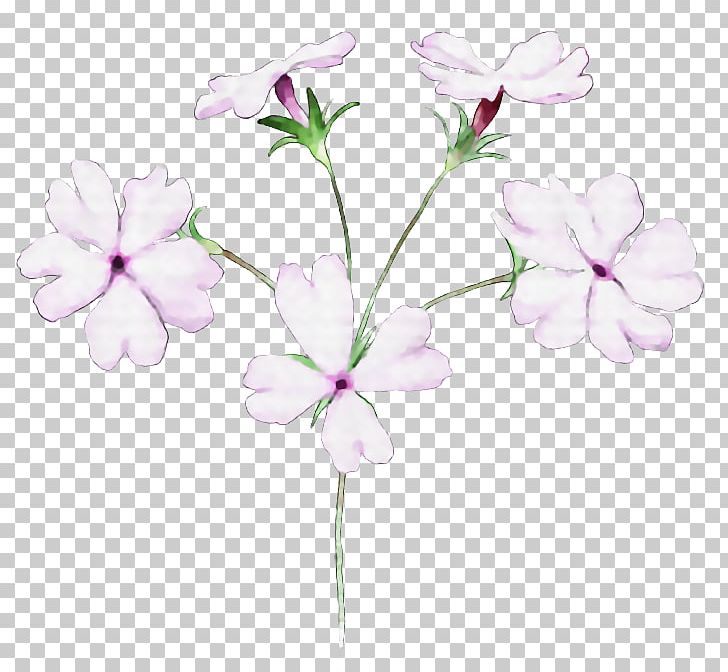 Floral Design Flower Illustrator PNG, Clipart, Blossom, Branch, Cartoon, Cherry Blossom, Color Free PNG Download