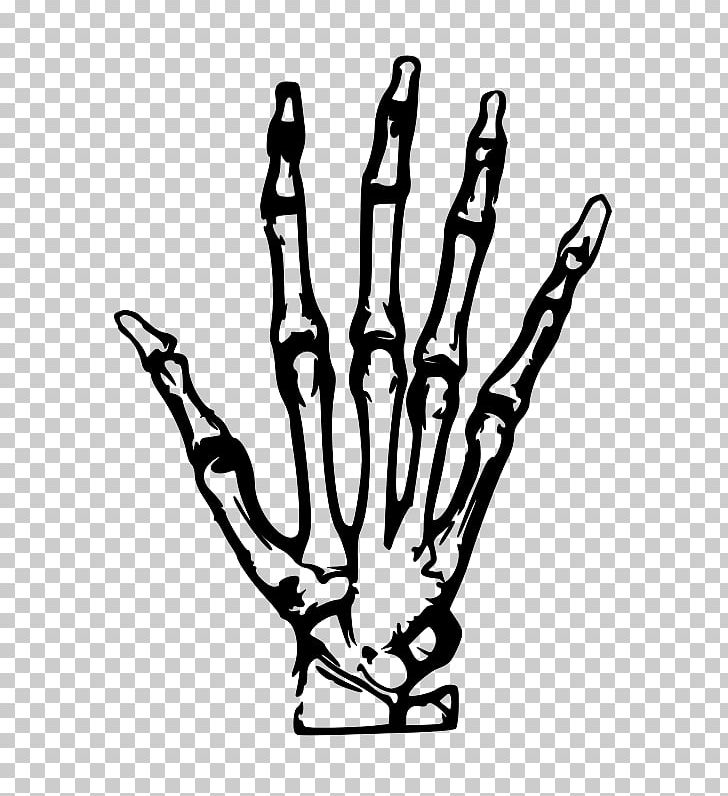 Human Skeleton Hand Bone PNG, Clipart, Anatomy, Black, Carpal Bones, Drawing, Fantasy Free PNG Download