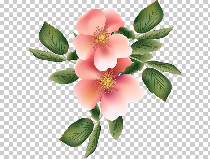 Drawing Flower Desktop PNG, Clipart, Blog, Blume, Collection, Desktop Metaphor, Desktop Wallpaper Free PNG Download