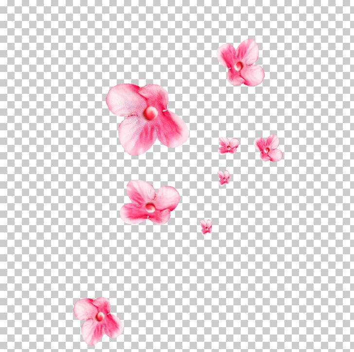 Magenta Encapsulated PostScript Flowers PNG, Clipart, Body Jewelry, Cherry Blossom, Decoration, Encapsulated Postscript, Floating Flower Free PNG Download