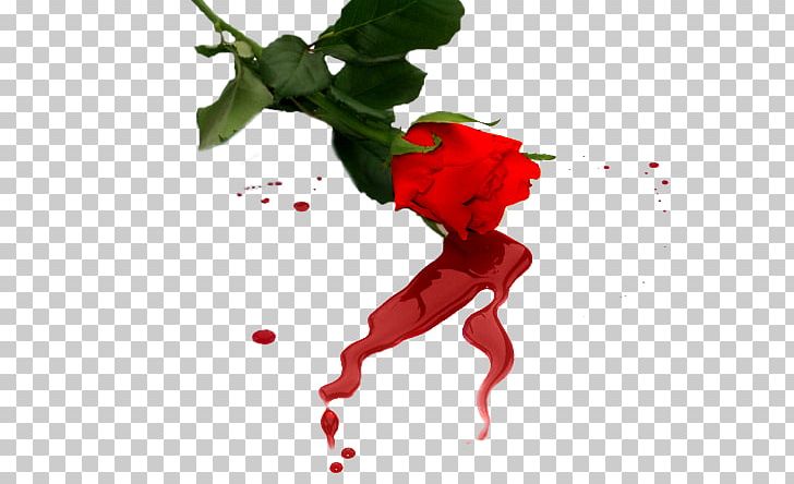 Love Song Romance Love Song PNG, Clipart, Art, Blood, Crying, Falling In Love, Feeling Free PNG Download