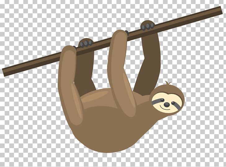 Sloth Video Animal English Language Cartoon PNG, Clipart,  Free PNG Download