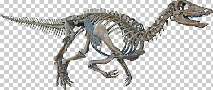 Thescelosaurus Velociraptor Hell Creek Formation Tyrannosaurus Late Cretaceous PNG, Clipart, Animal, Animal Figure, Centimeter, Cm 6, Cretaceous Free PNG Download