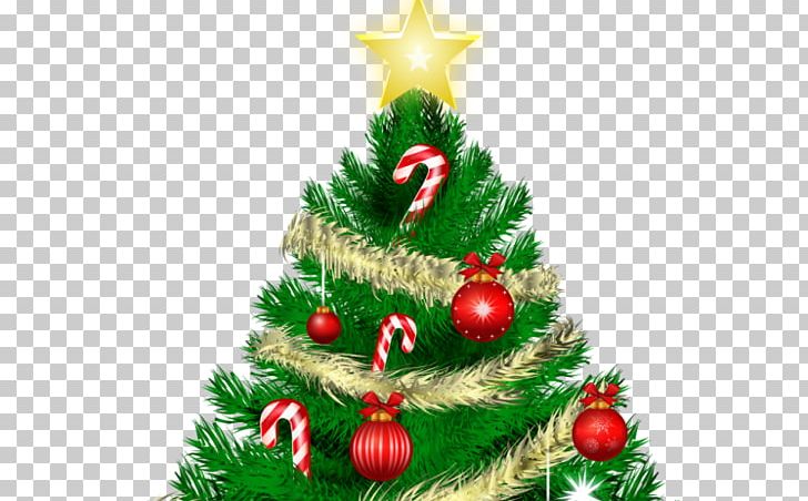 YouTube Christmas Tree PNG, Clipart, Art, Christmas, Christmas Decoration, Christmas Ornament, Christmas Tree Free PNG Download