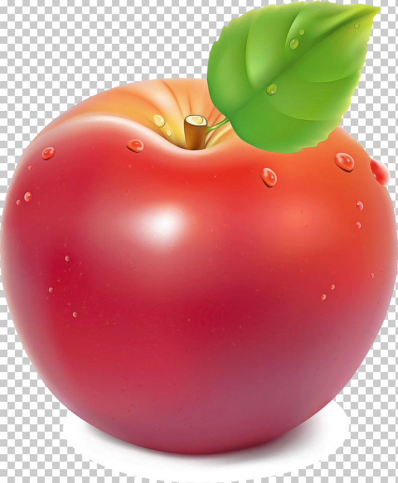 Tomato PNG, Clipart, Apple, Biology, Genus, Local Food, Natural Food Free PNG Download