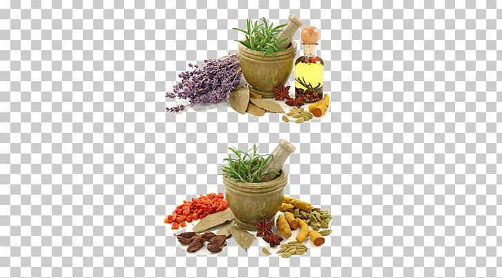 Ayurveda Medicine Alternative Health Services Vata PNG, Clipart, Alternative Health Services, Cartoon Garlic, Chili Garlic, Diet, Essentials Free PNG Download