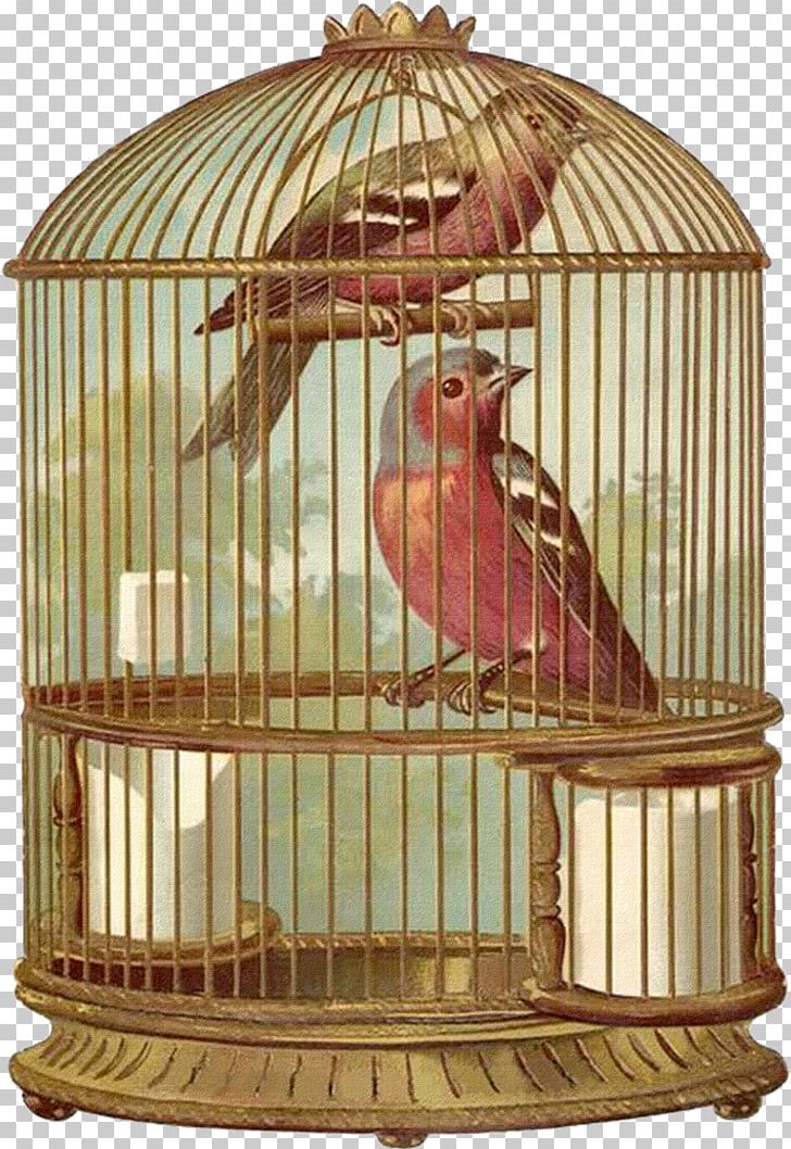 Birdcage Parrot Domestic Canary PNG, Clipart, Animals, Bird, Bird Cage, Birdcage, Bird Egg Free PNG Download