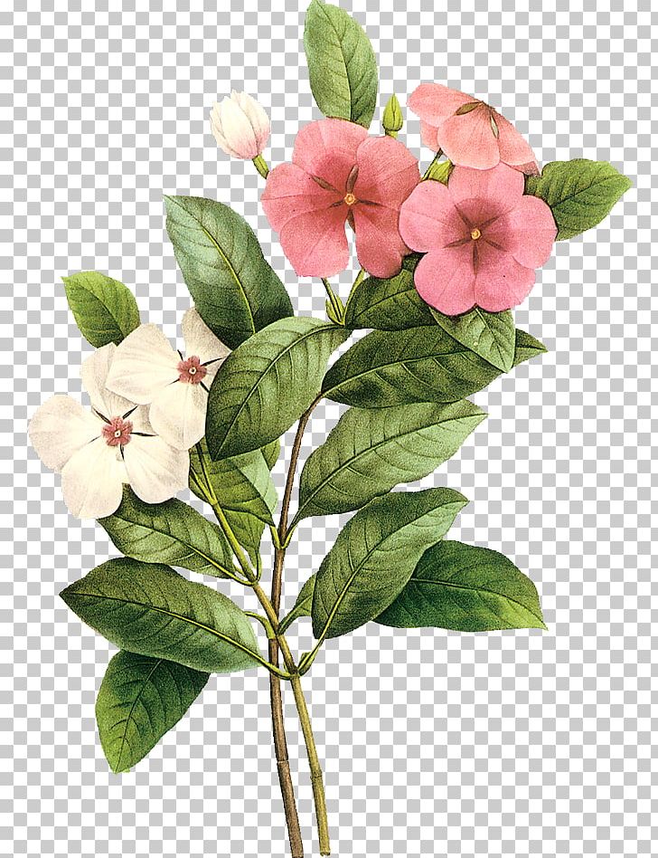 Flower Watercolor Painting Design PNG, Clipart, Art, Branch, Color, Cut Flowers, Flower Free PNG Download