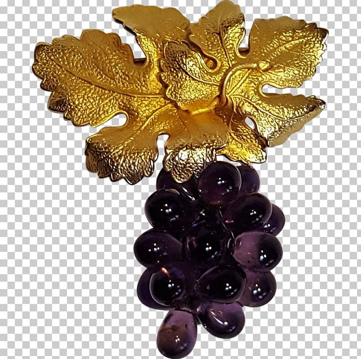 Grape Jewellery PNG, Clipart, Fruit, Fruit Nut, Gander Green Lane, Grape, Grapevine Family Free PNG Download