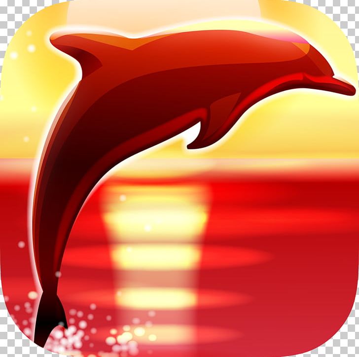 Oceanic Dolphin Taiji Kshamenk Killer Whale PNG, Clipart, Killer Whale, Oceanic Dolphin Free PNG Download