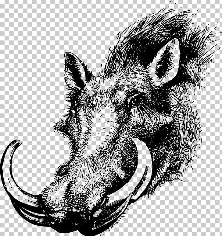 Common Warthog Wild Boar Fairchild Republic A-10 Thunderbolt II T-shirt PNG, Clipart, Animal, Black And White, Clothing, Common Warthog, Drawing Free PNG Download