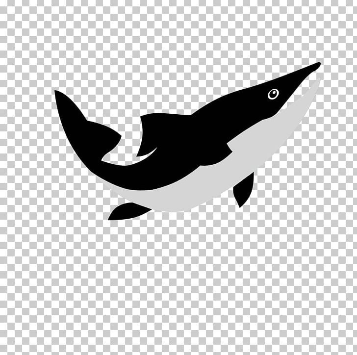 Dolphin Porpoise Cetacea White PNG, Clipart, Animals, Beak, Bird, Black, Black And White Free PNG Download