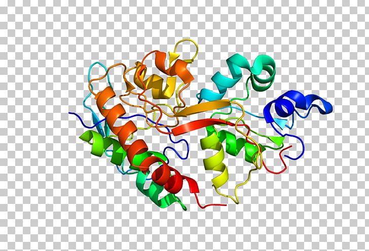 nmda d-aspartic acid