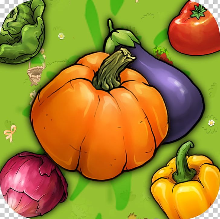Habanero Vegetable Crush Crush Pop Bell Pepper PNG, Clipart, Apk, Bell Pepper, Bell Peppers And Chili Peppers, Calabaza, Chili Pepper Free PNG Download