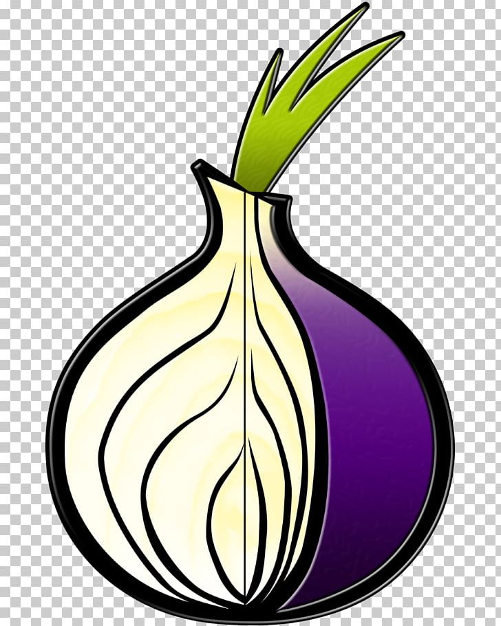 Tor Browser .onion Anonymity Onion Routing PNG, Clipart, Anonymity, Anonymous Web Browsing, Artwork, Encryption, Flora Free PNG Download