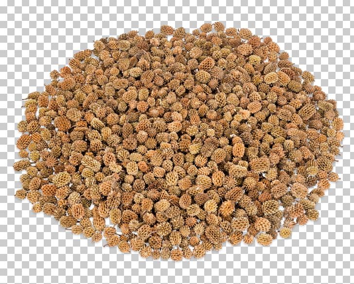 Wheat Berry Food Bean Cereal Lentil PNG, Clipart, Bean, Cereal, Chickpea, Commodity, Common Bean Free PNG Download