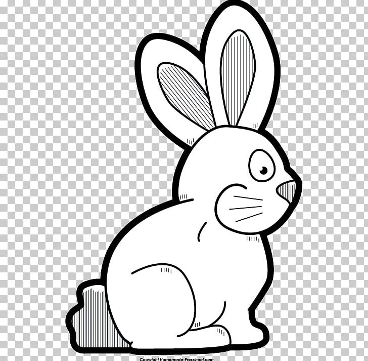 Domestic Rabbit Hare Chocolate Chip Cookie White Chocolate PNG, Clipart, Area, Artwork, Biscuits, Black, Black And White Free PNG Download