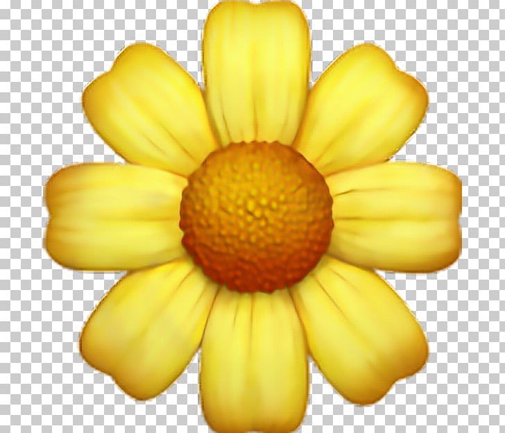 Emojipedia Flower Sticker Emoticon PNG, Clipart, Blossom, Chrysanths, Computer Icons, Daisy Family, Emoji Free PNG Download