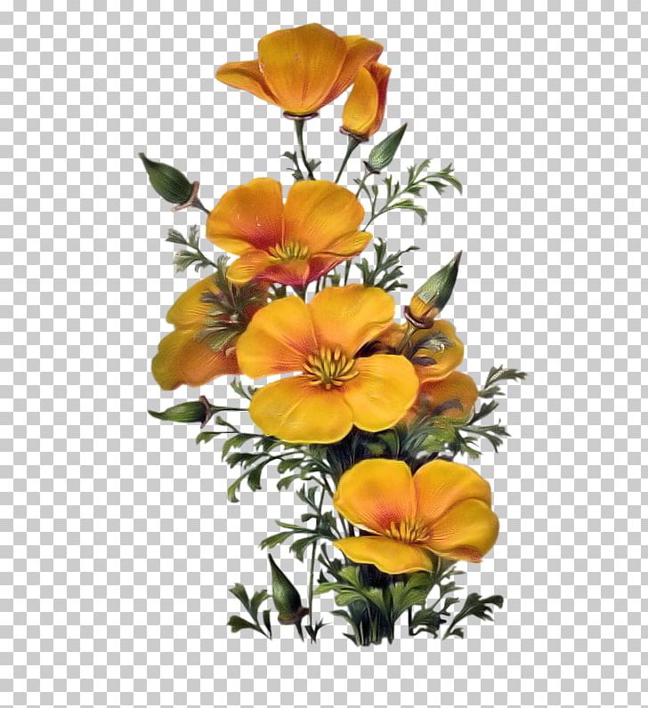 Floral Design California Christmas Card Flower PNG, Clipart, Art, California Poppy, Canvas Print, Christmas, Cicekler Free PNG Download