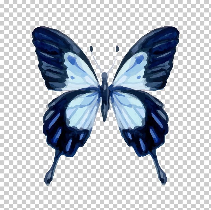 Monarch Butterfly Watercolor Painting Gossamer-winged Butterflies PNG, Clipart, Arthropod, Blue, Brush Footed Butterfly, Butterfly, Color Free PNG Download