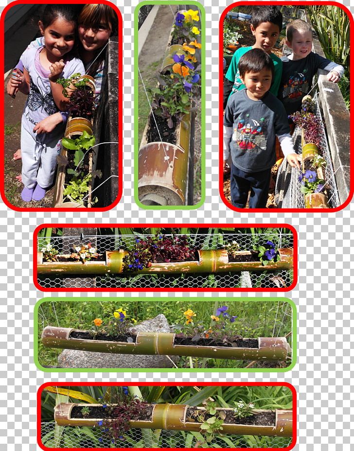 Karetu School Gardening TUI Group Tracey Dee PNG, Clipart, Bamboo Fence, Collage, Garden, Gardening, Judge Free PNG Download