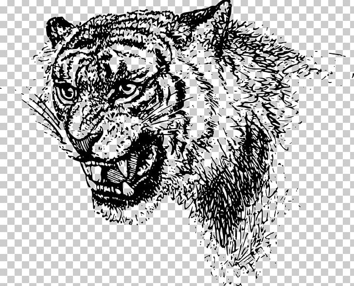 Tiger Felidae Lion PNG, Clipart, Animals, Art, Big Cat, Big Cats, Carnivoran Free PNG Download