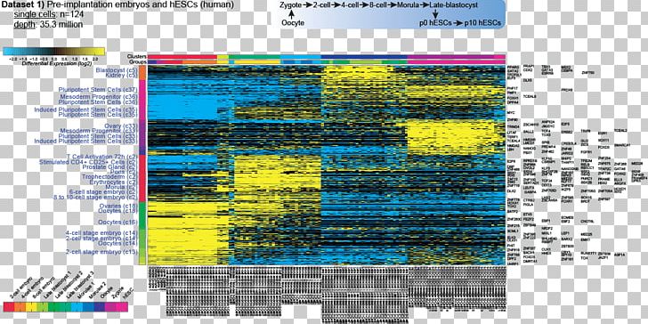 Transcriptome RNA-Seq Computer Software DNA Microarray Data Set PNG, Clipart, Area, Cell, Computer Software, Data, Data Analysis Free PNG Download