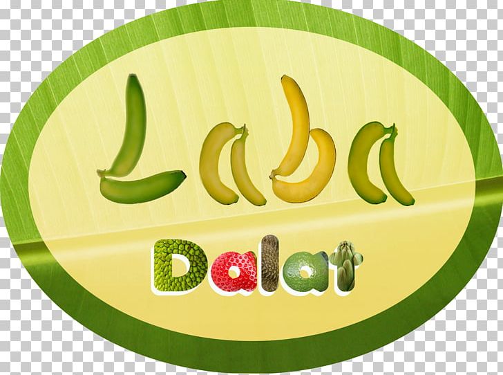 Banaani Dole Food Company Musa Balbisiana Logo Disease PNG, Clipart, Bana, Brand, Business, Circle, Disease Free PNG Download