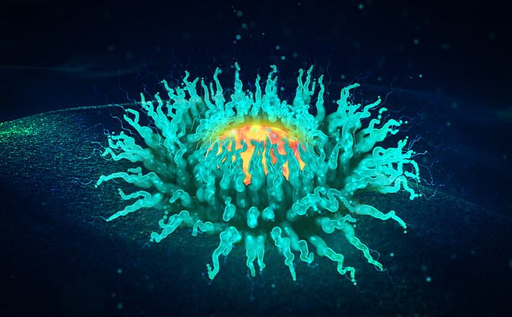 Sea Anemone Dribbble Desktop PNG, Clipart, Anemone, Biology, Computer Wallpaper, Darkness, Desktop Wallpaper Free PNG Download