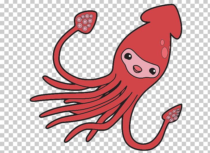 Squid PNG, Clipart, Squid Free PNG Download