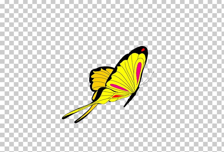 Butterfly Animation PNG, Clipart, Animal, Arthropod, Blue Butterfly, Brush Footed Butterfly, Butterflies Free PNG Download