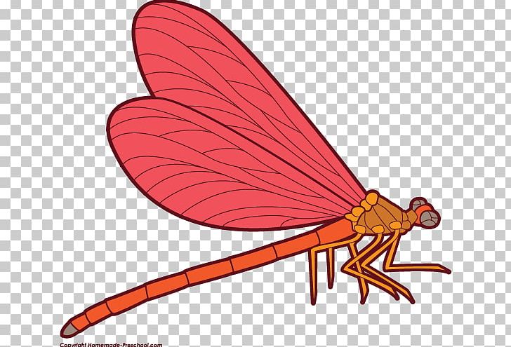 Dragonfly PNG, Clipart, Art, Arthropod, Blog, Butterfly, Cartoon Free PNG  Download