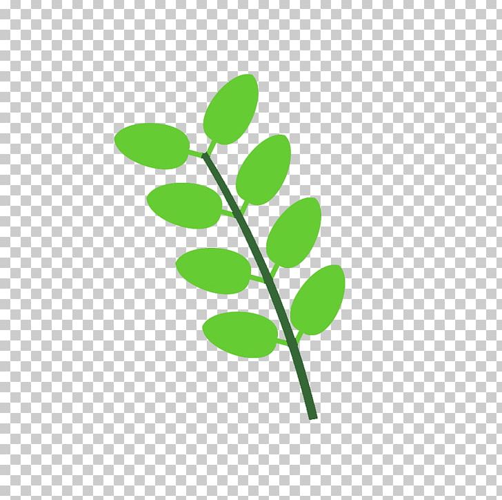 Leaf Plant Stem Line Branching PNG, Clipart, Bignoniaceae, Branch, Branching, Grass, Green Free PNG Download