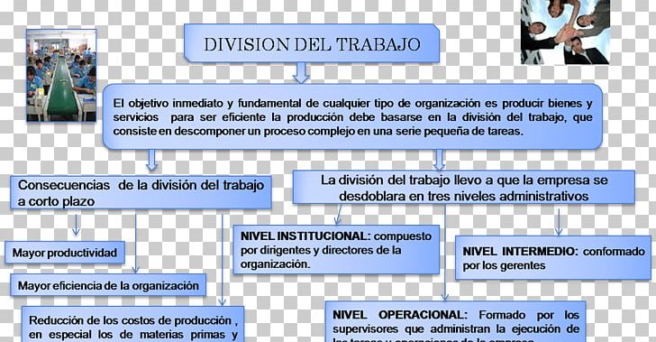 Division Of Labour Business Administration Labor Production Division Internationale Du Travail PNG, Clipart,  Free PNG Download