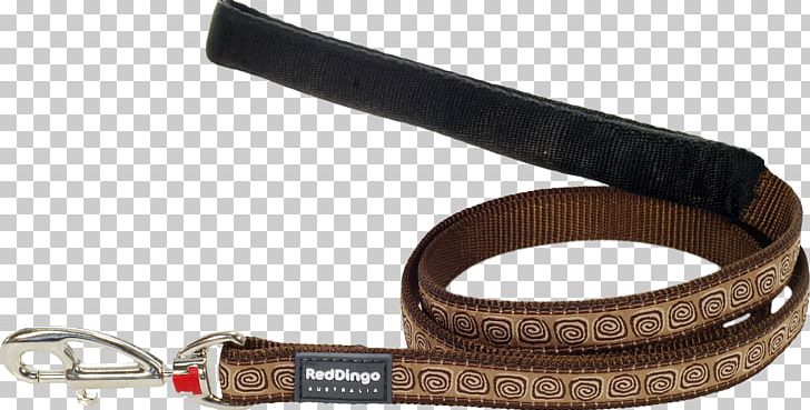 Leash Dog Dingo Cat Puppy PNG, Clipart, Animals, Belt, Cat, Collar, Dingo Free PNG Download