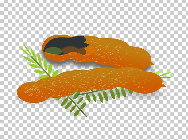 Tamarind PNG, Clipart, Big Leaves, Carrot, Clip Art, Drawing, Fish Free PNG Download
