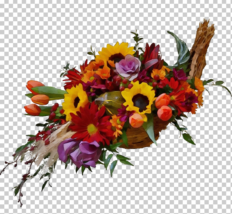 Floral Design PNG, Clipart, Biology, Cut Flowers, Floral Design, Flower, Flower Bouquet Free PNG Download