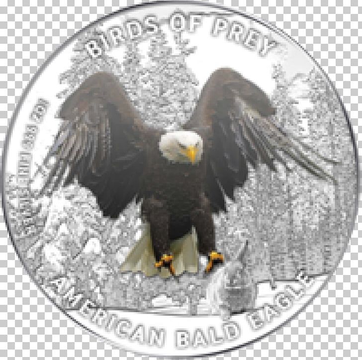 Bald Eagle Silver Coin Proof Coinage PNG, Clipart, Accipitriformes, Bald Eagle, Beak, Bird, Bird Of Prey Free PNG Download