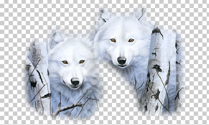 New Year's Day Gray Wolf New Year's Eve Wicca PNG, Clipart, Arctic, Arctic Fox, Bozkurt Resimleri, Canadian Eskimo Dog, Canis Lupus Tundrarum Free PNG Download