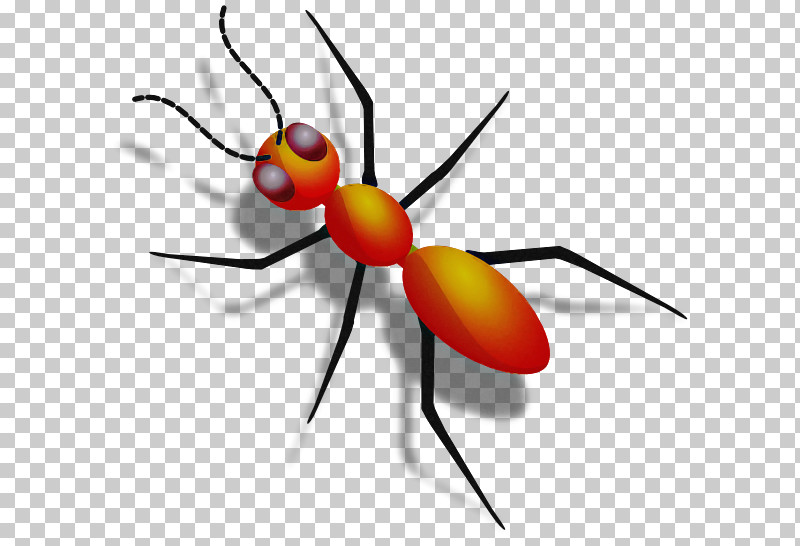 Insect Pest Carpenter Ant Membrane-winged Insect Ant PNG, Clipart, Ant, Carpenter Ant, Fly, Insect, Membranewinged Insect Free PNG Download