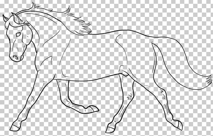 Line Art Mule Welsh Pony And Cob Drawing PNG, Clipart, Animal Figure, Color, Deviantart, Fictional Character, Head Free PNG Download