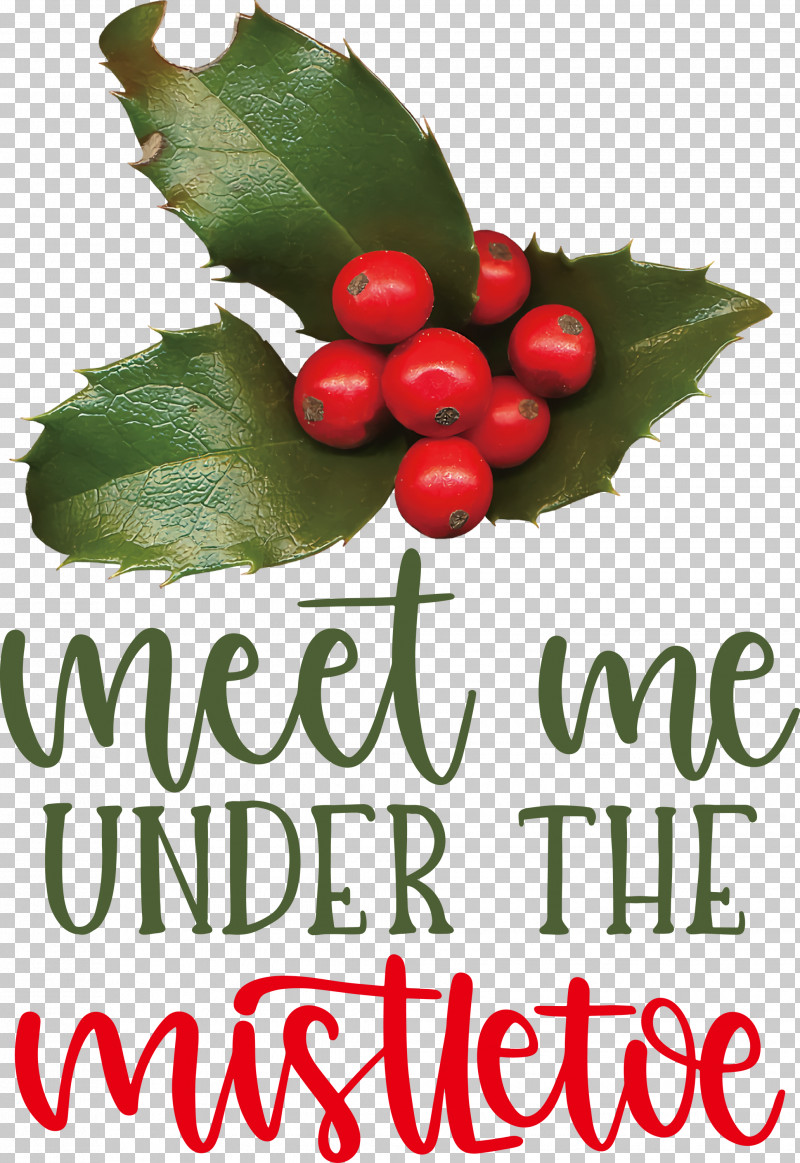 Meet Me Under The Mistletoe Mistletoe PNG, Clipart, Aquifoliaceae, Aquifoliales, Fruit, Holly, Local Food Free PNG Download