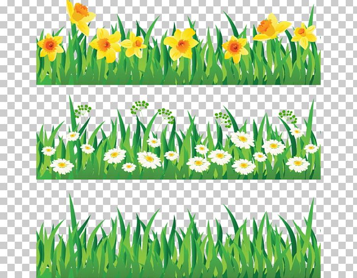 Herbaceous Plant Flower PNG, Clipart, Boy Cartoon, Cartoon Character, Cartoon Cloud, Cartoon Couple, Cartoon Eyes Free PNG Download