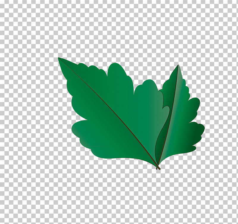 Maple Leaf PNG, Clipart, Autumn Leaf, Autumn Leaf Color, Biology, Branch, Cartoon Leaf Free PNG Download